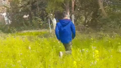 Funny video