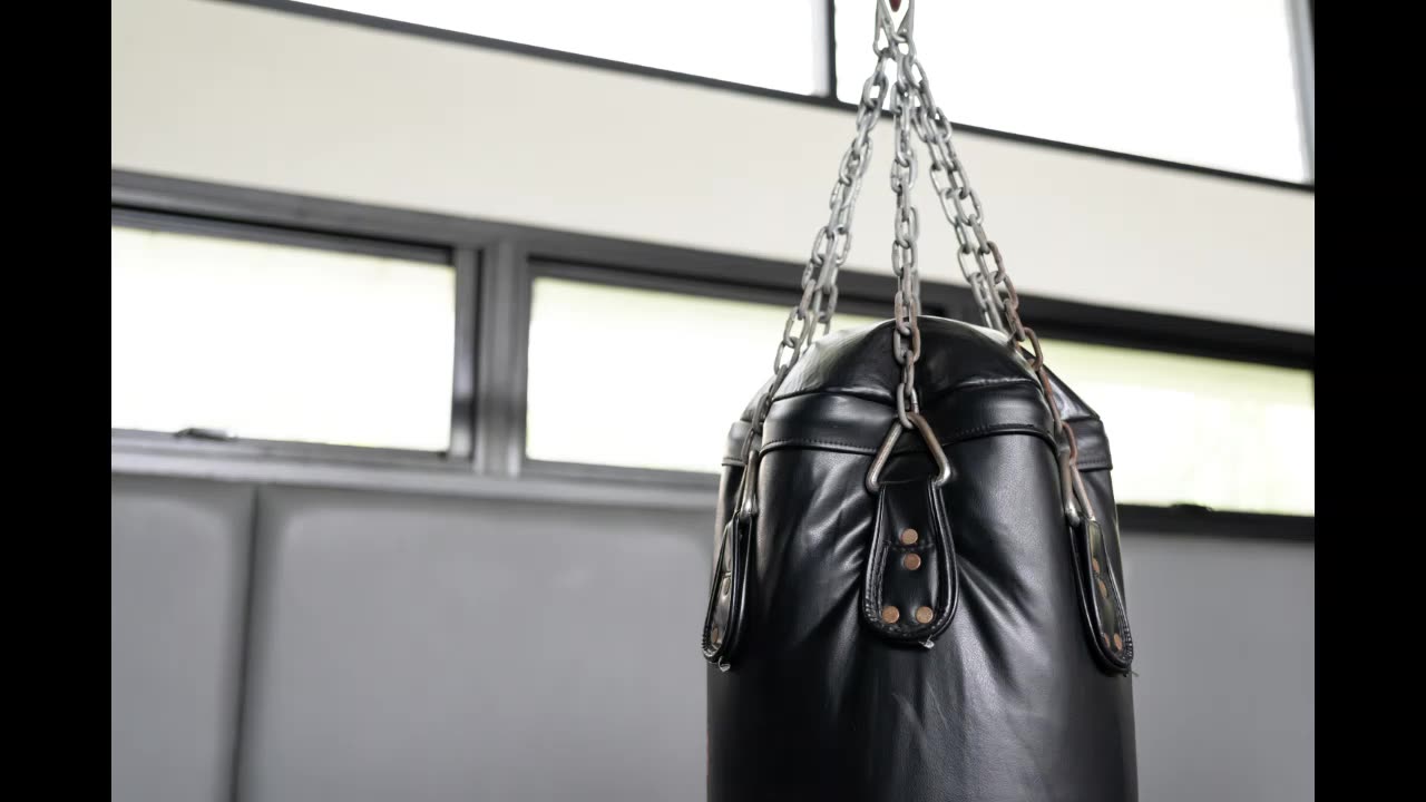 Lord Winter - Punching Bag