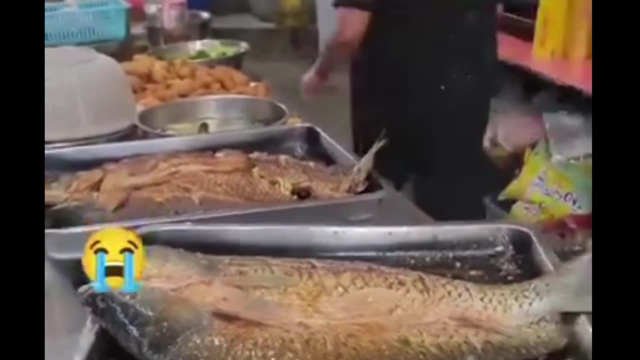 Machhali ne jeene ki ash nahi chodi hai bhai