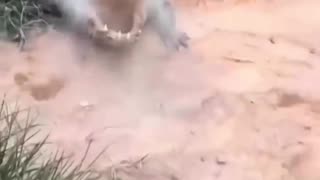 😂🤣 You Won't Believe What This Friend Did! | FunFM