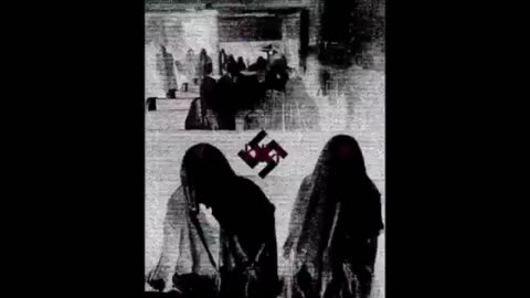 SNAFU subverted the Pro White Movement for the LuLz