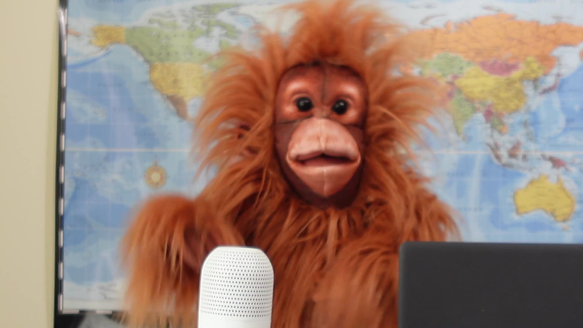 Oscar Mocks Carneys Cabinet Unmercifully