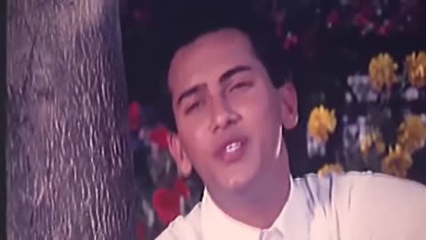 Romantic Bangla Song #movie #moviesong #shorts #moviesongvideo #rumbleshorts #viral #trending