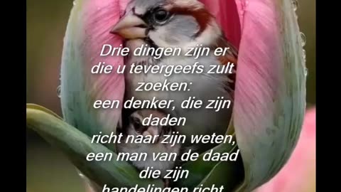 Drie dingen