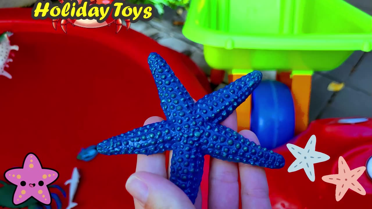 Lure the Octopus with Shrimp to Come Out of the Nest