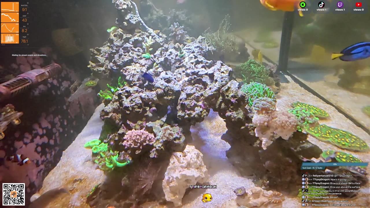 24/7 Real Live Reef Stream