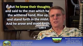 The Cerebellum: Part of the Creation That Destroys Evolution Series