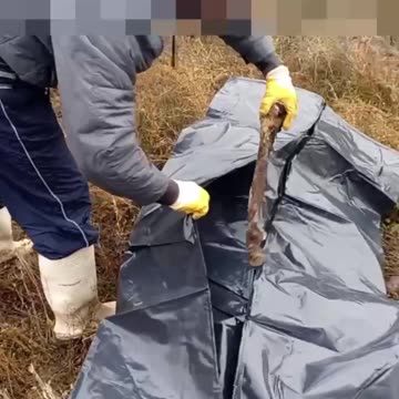 Russians Never Leave a Man Behind