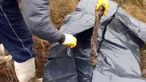 Russians Never Leave a Man Behind