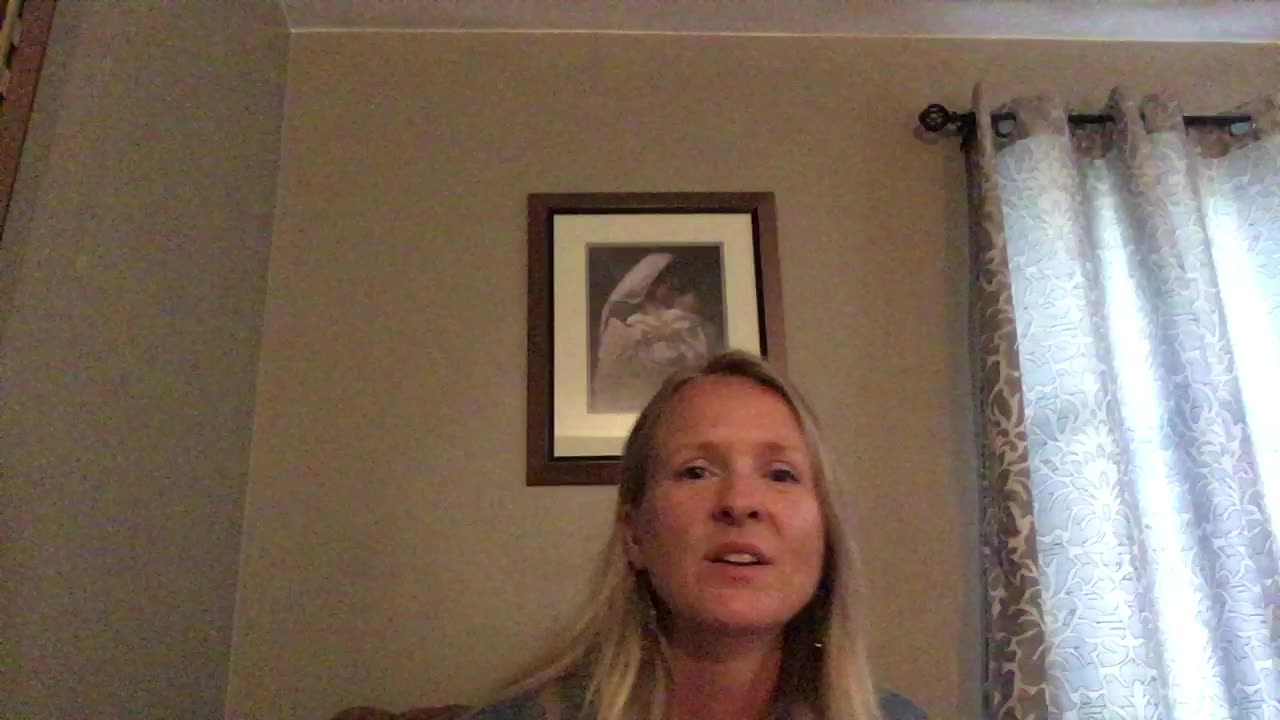 Warning Dreams: The House that was Flooded, and the Coming Storm ( gathering chicks)