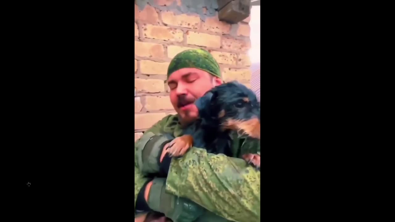 Feel Good clip: Rescue of a dog that was left behind in floods, thank god!