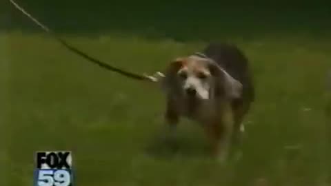 May 23, 2007 - WXIN Indianapolis Anchor Cheryl Parker and Her Dog
