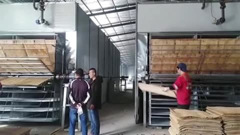wood veneer drying