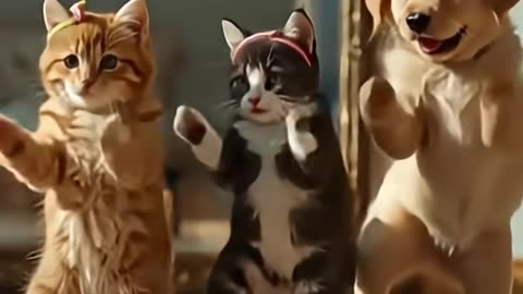 You Won't Believe These Dancing Cats! 😂