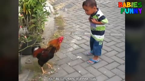 CHICKEN NOT HAVING GOOD DAY.