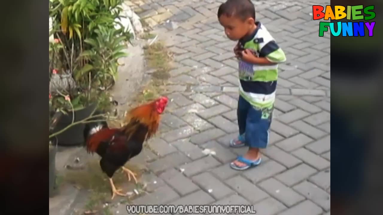 CHICKEN NOT HAVING GOOD DAY.