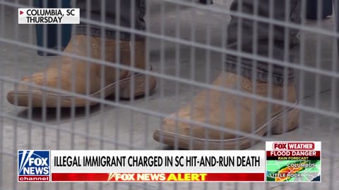 Illegal migrant charged with hit-and-run death of USC student