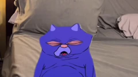 Meme for you