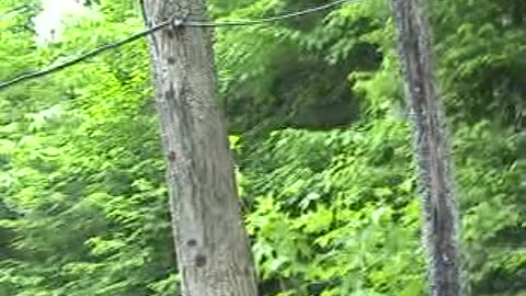 2005-NY-LakeTitus-4