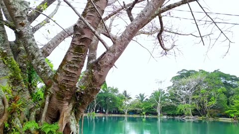 Relaxing at a Natural Hot Spring Lake – Hidden Gem in the Wild