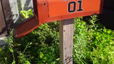 A General Lee Mailbox