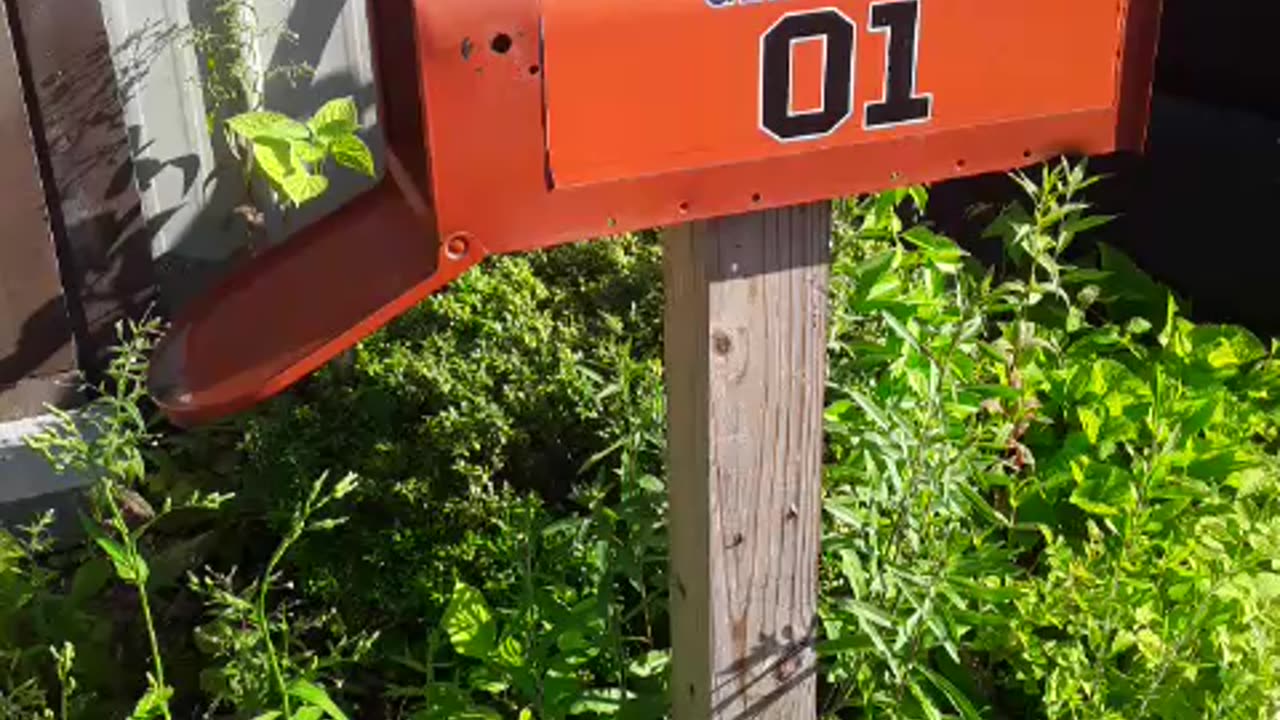 A General Lee Mailbox