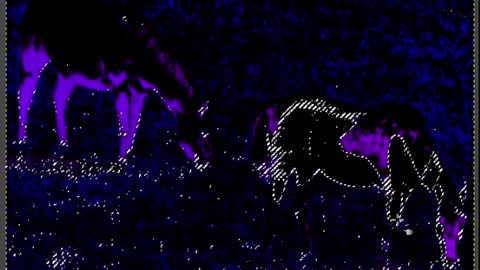 Grazing Horse Herd #drawing