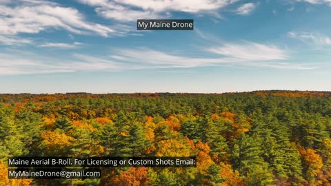 Maine B-Roll (No Sound): Fall Foliage at Lily Pond in New Gloucester, Maine Video 13