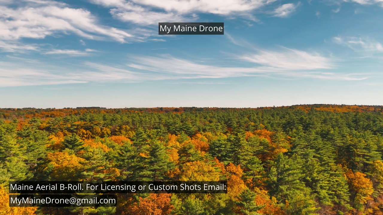 Maine B-Roll (No Sound): Fall Foliage at Lily Pond in New Gloucester, Maine Video 13