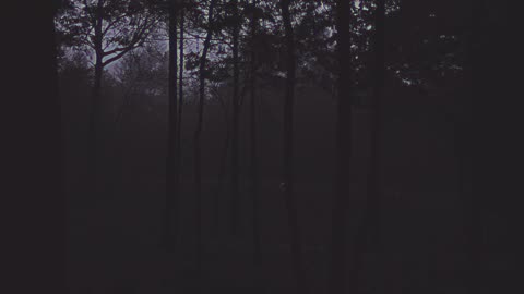 True Horror Story: A Haunting at Black Star Canyon (Real Caller Tale)