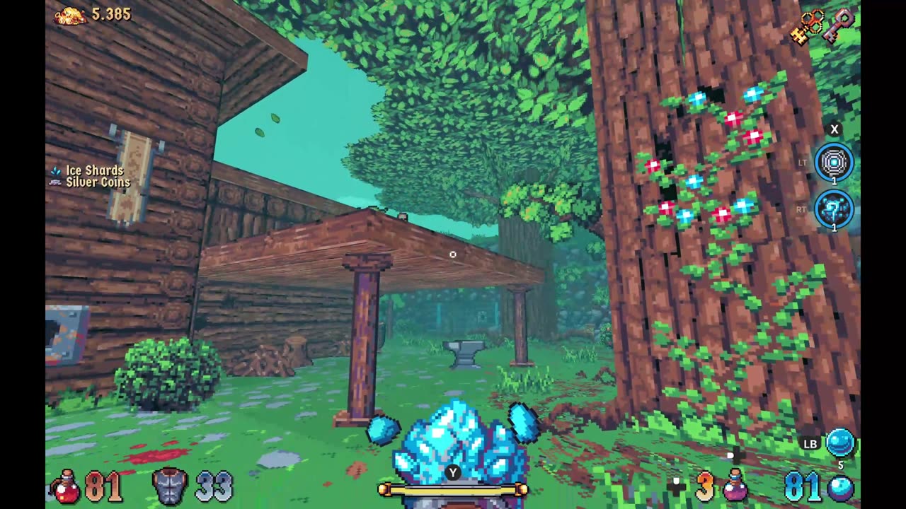 Wizordum part 6