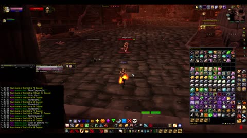 Turtle wow - Stratholme undead - Paladin - What 1h solo gold farm gets you