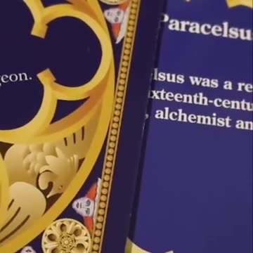Chocolate Frog Card Collector Reveals Shocking Differences!