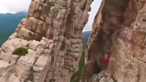 These bold dive moves are full of thrill and skill that keep you watching 🌊🤸‍♂️