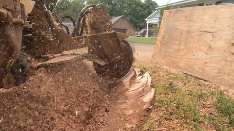 “Tips for Grinding a Bradford Pear Stump the Right Way!”