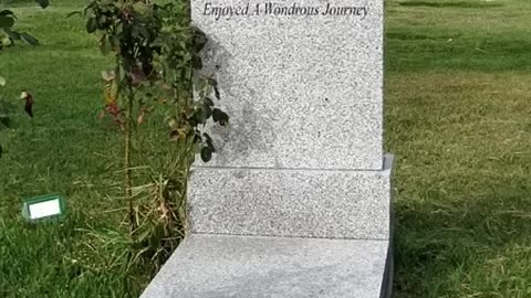 FAMOUS GRAVES - VOL. 346: DARREN MCGAVIN