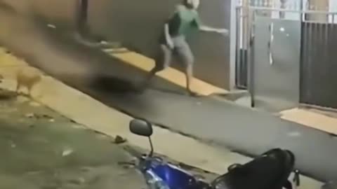 Skinwalker