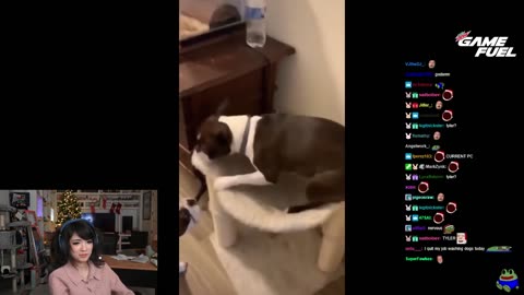 Emiru reacts to UNUSUAL MEMES COMPILATION V163