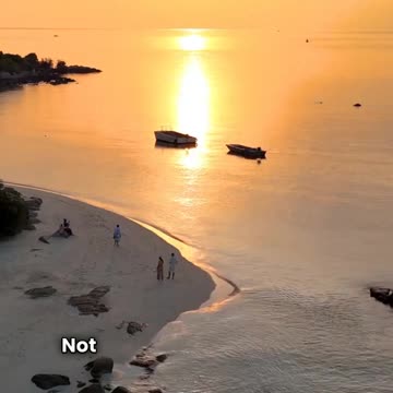 Healing Through Nature: A Transformative Journey