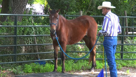 Cowboy Up 3-23
