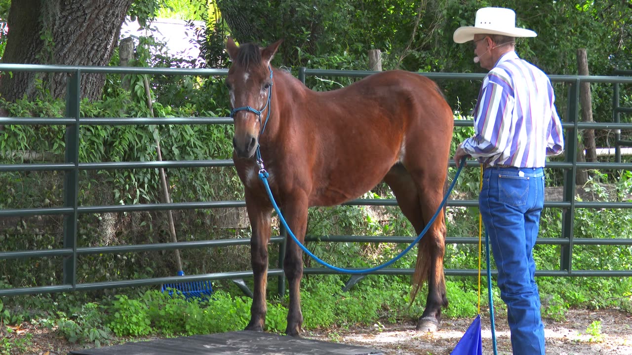 Cowboy Up 3-23