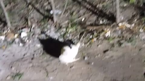 My Cock Can Sleep 😴 At All And I Don't Know The Reason...