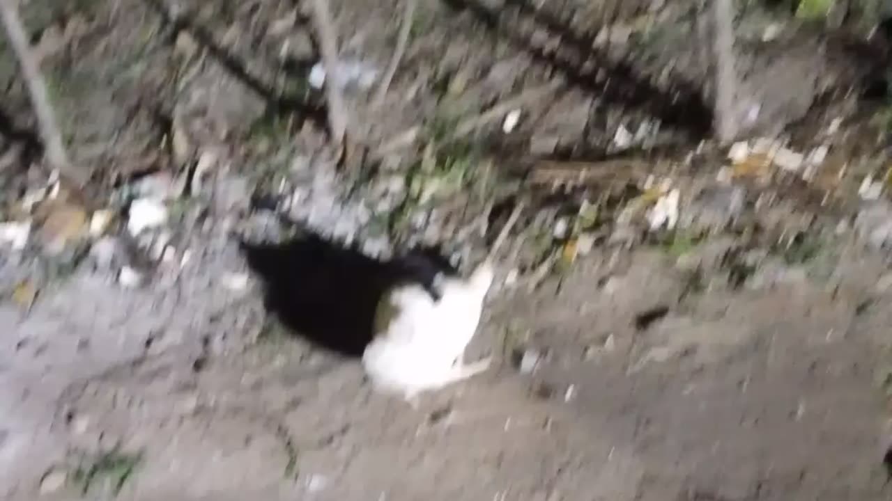 My Cock Can Sleep 😴 At All And I Don't Know The Reason...