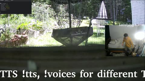 shed reveal (gabba2)