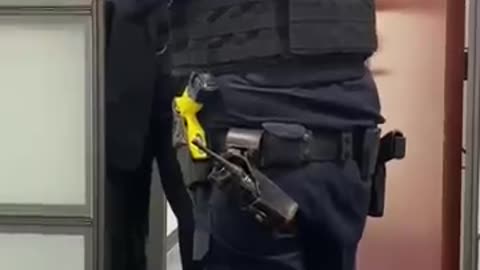 DHS Officers Handcuff Nadler’s Aide During Immigration Visit After Staff Refuses to Cooperate