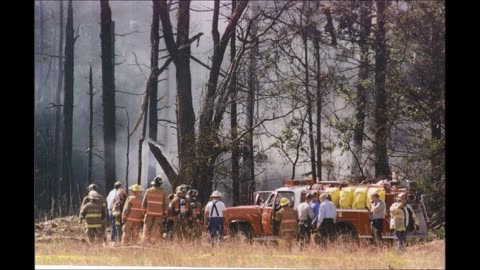 the 911 job reimagined