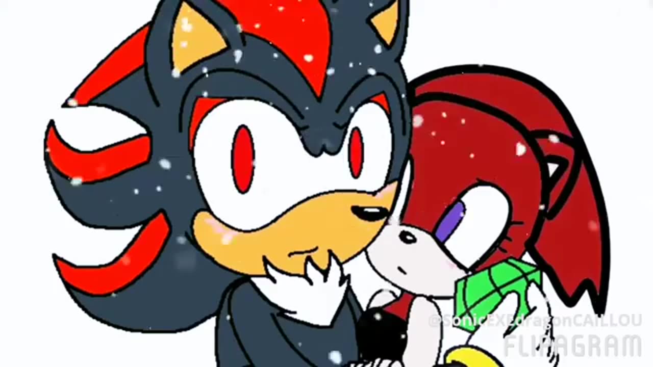 (REUPLOAD) Gift for #KennyTHedgehog sorry if your whole body cannot be seen, its flippagram