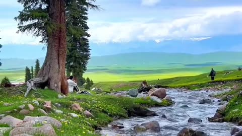 Wildflower Paradise | Springtime Meadows & Snowy Mountains in Bloom
