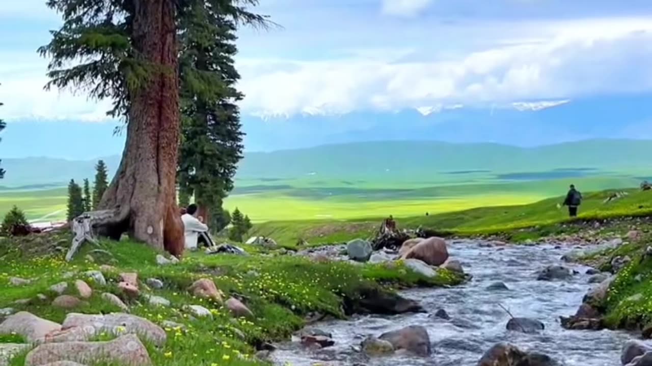 Wildflower Paradise | Springtime Meadows & Snowy Mountains in Bloom