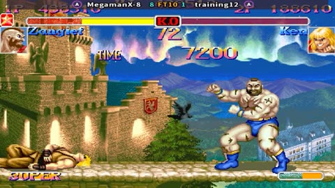 MegamanX-8 vs training12